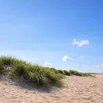 Droste